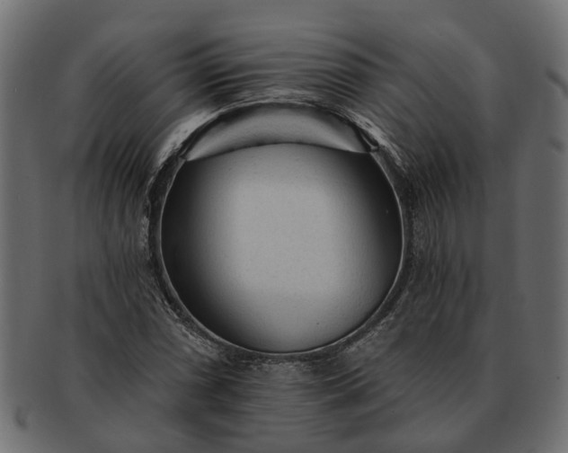 X0000091721066200709071431