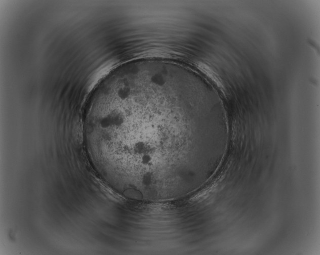 X0000091721067200709071431