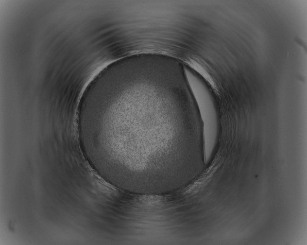 X0000091721068200709071431