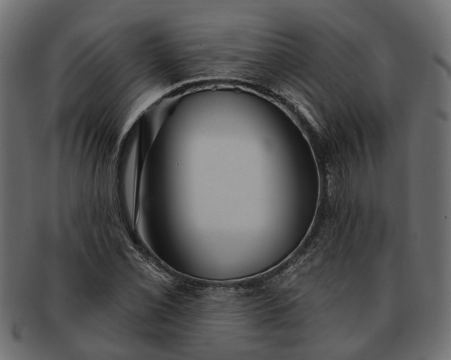 X0000091721069200709071431