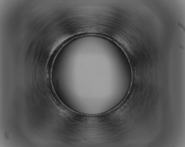 X0000091721070200709071431