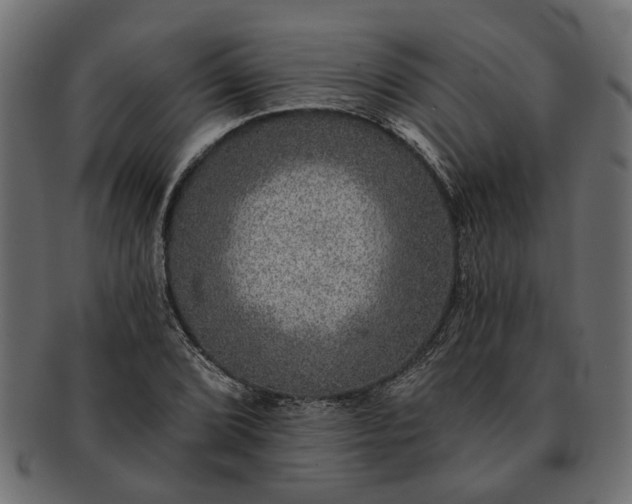 X0000091721072200709071431