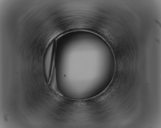 X0000091721073200709071431