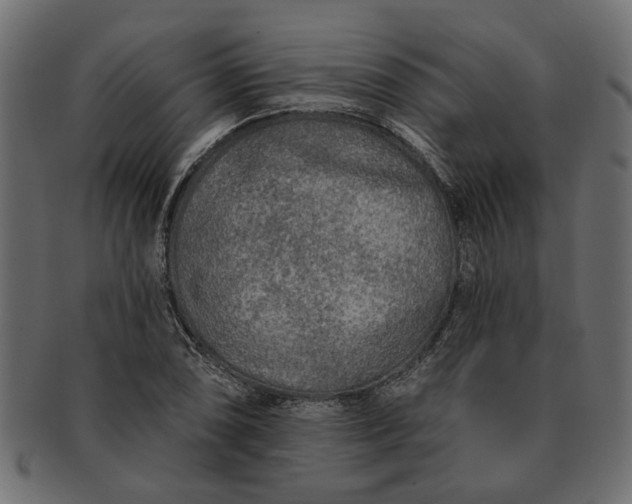 X0000091721074200709071431