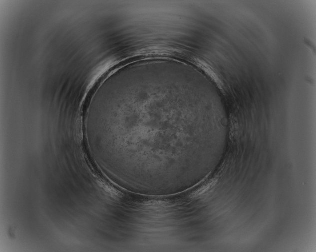 X0000091721075200709071431