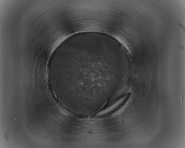 X0000091721077200709071430