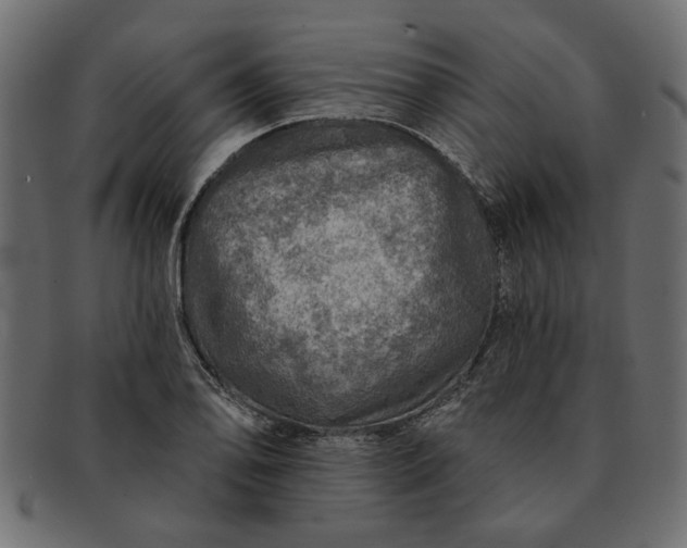 X0000091721078200709071430