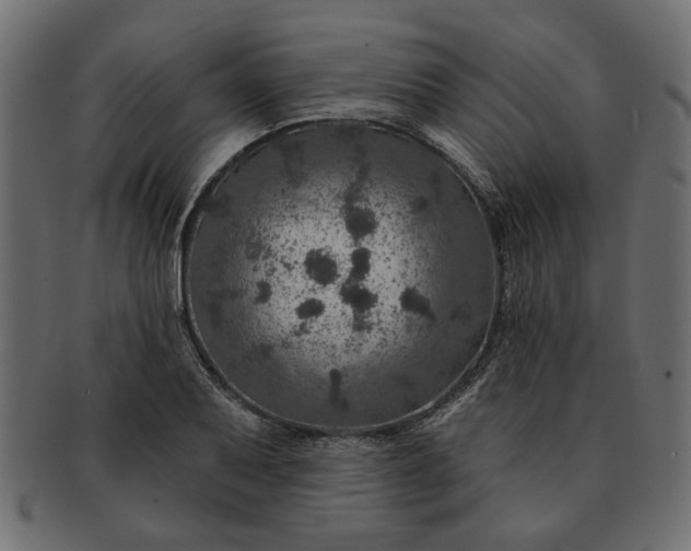 X0000091721079200709071430