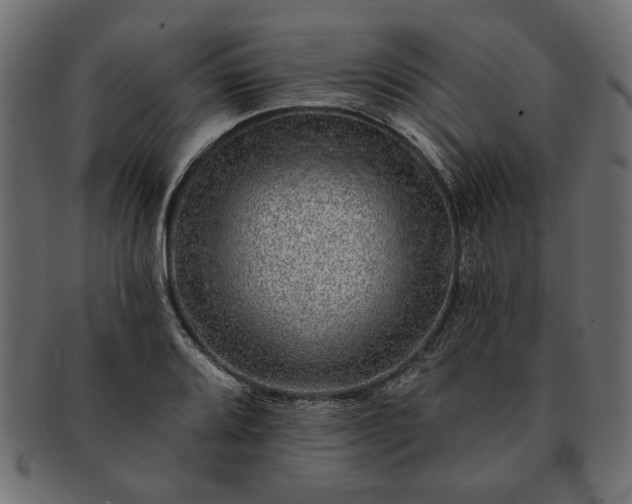 X0000091721080200709071430