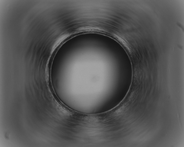 X0000091721082200709071430