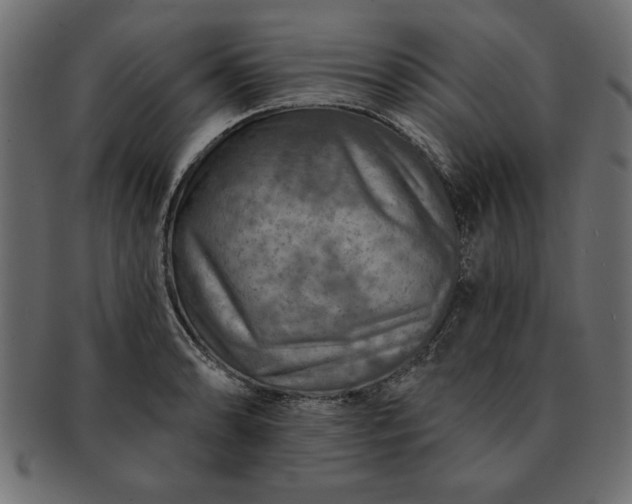 X0000091721086200709071430