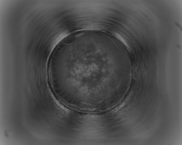 X0000091721087200709071430