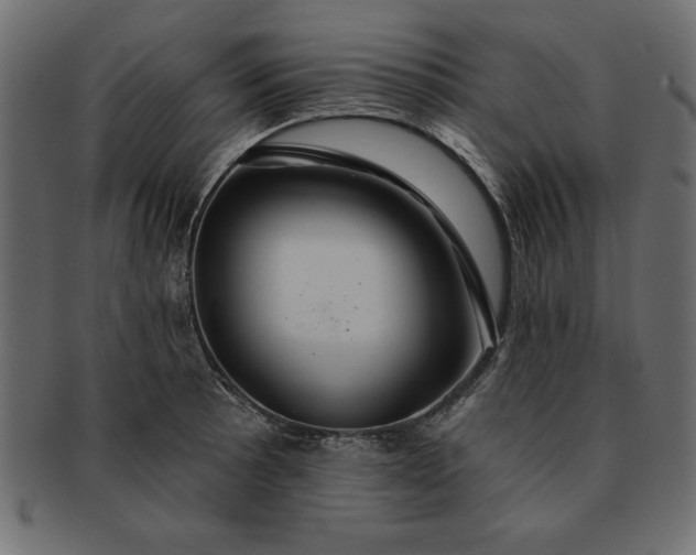 X0000091721089200709071430