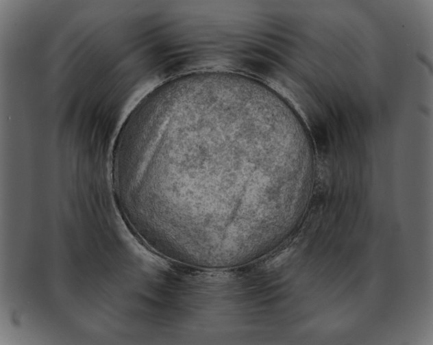 X0000091721090200709071430