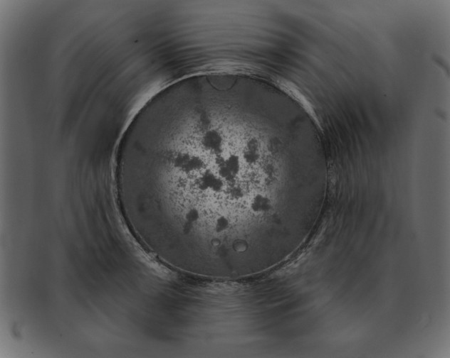 X0000091721091200709071430