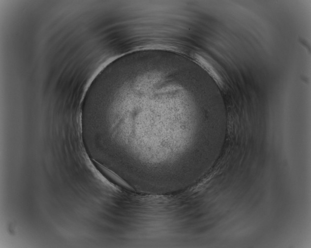 X0000091721092200709071430