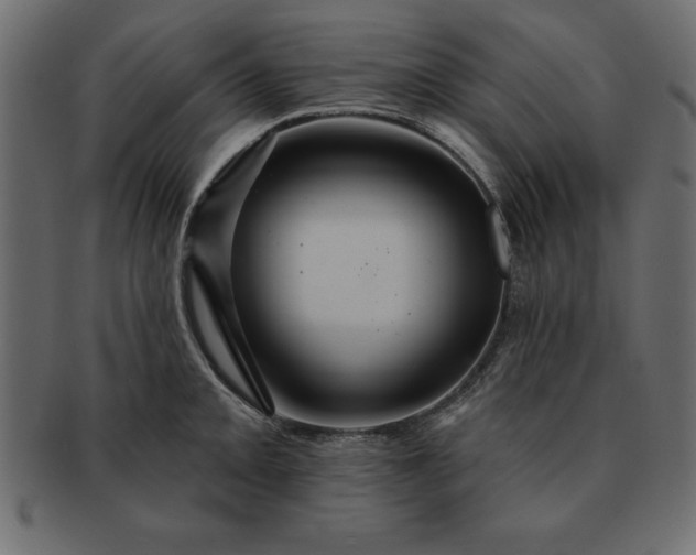 X0000091721093200709071430