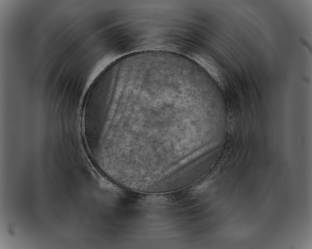 X0000091721094200709071430