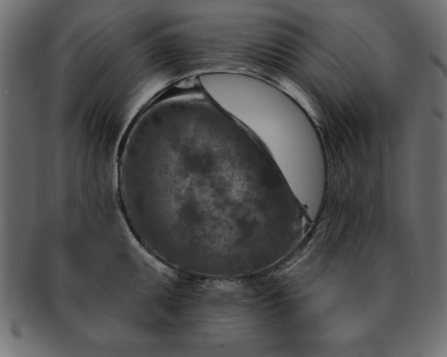 X0000091721095200709071430