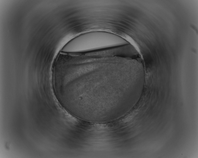 X0000091721096200709071430