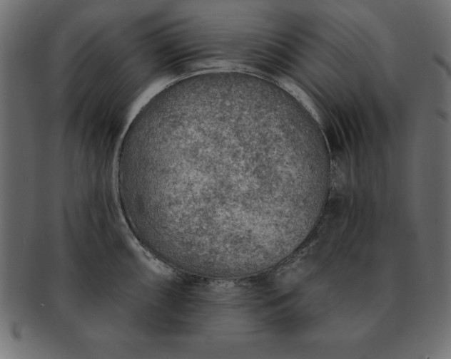 X0000091721098200709071430