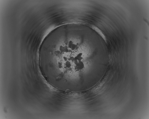 X0000091721099200709071430