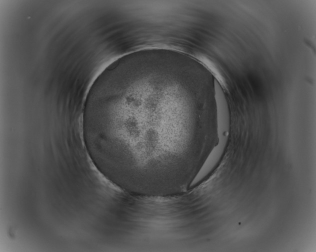 X0000091721100200709071430