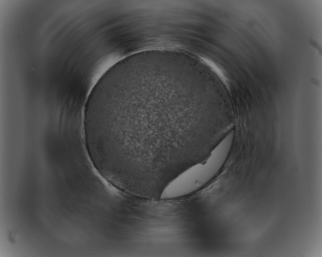 X0000091721103200709071430