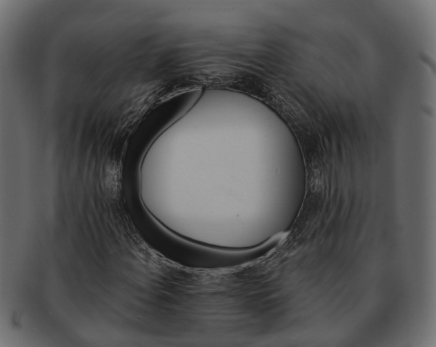 X0000091721108200709071429