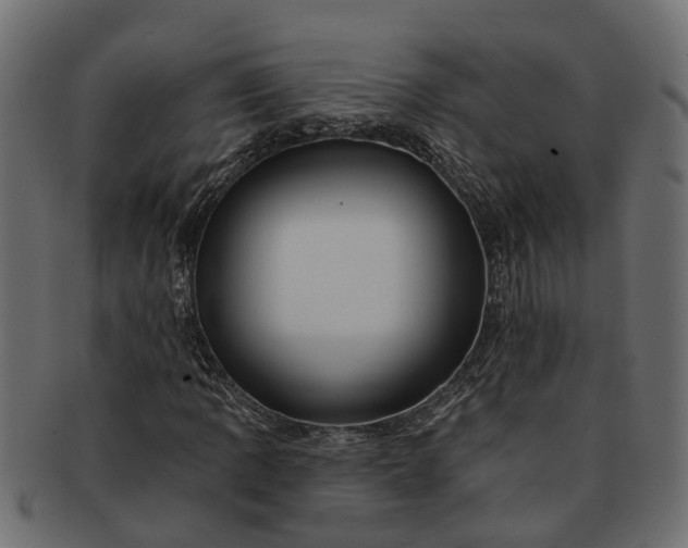 X0000091721109200709071429