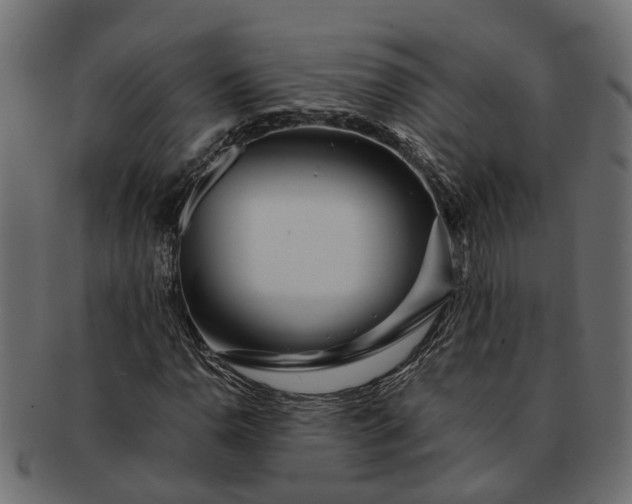 X0000091721110200709071429