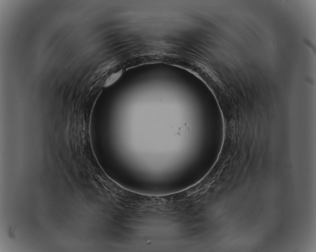 X0000091721111200709071429