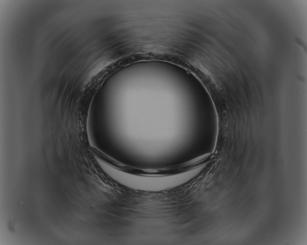 X0000091721112200709071429