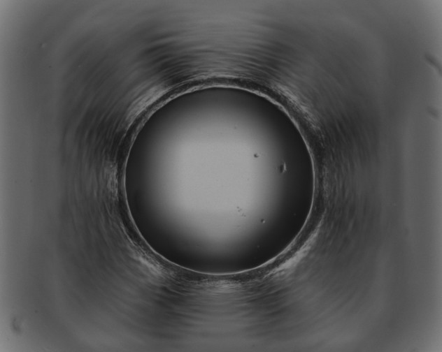 X0000091721113200709071429