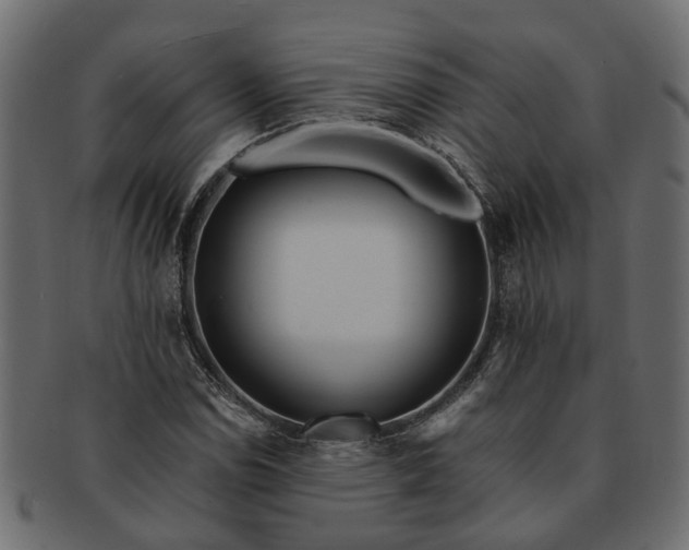 X0000091721114200709071429