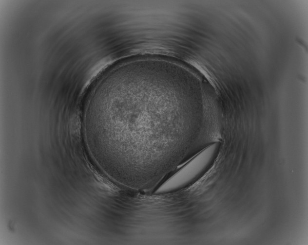 X0000091721115200709071429