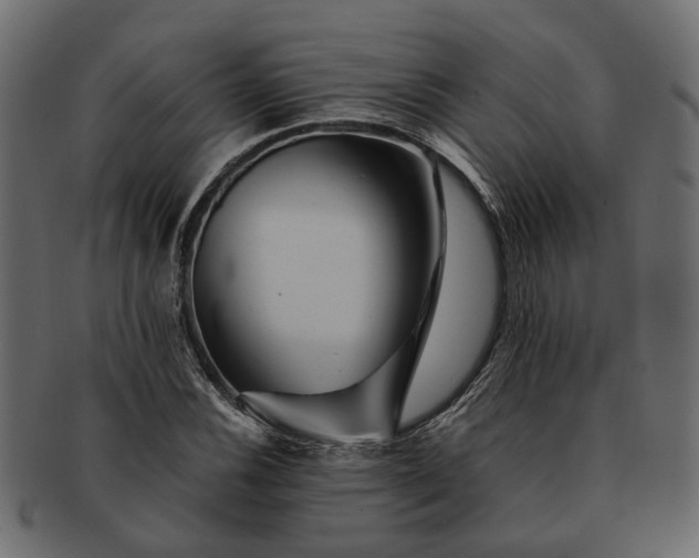 X0000091721116200709071429