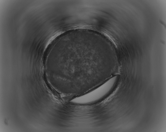 X0000091721117200709071429