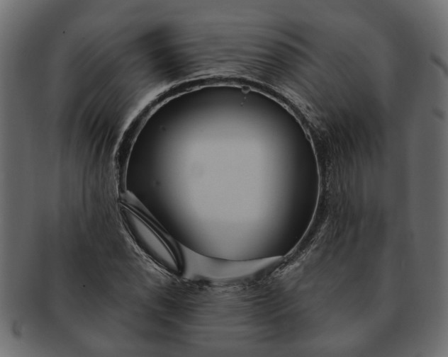 X0000091721118200709071429