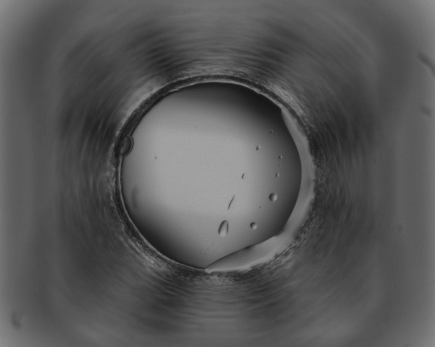 X0000091721119200709071429