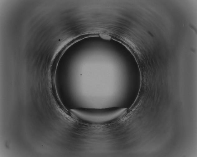 X0000091721120200709071429