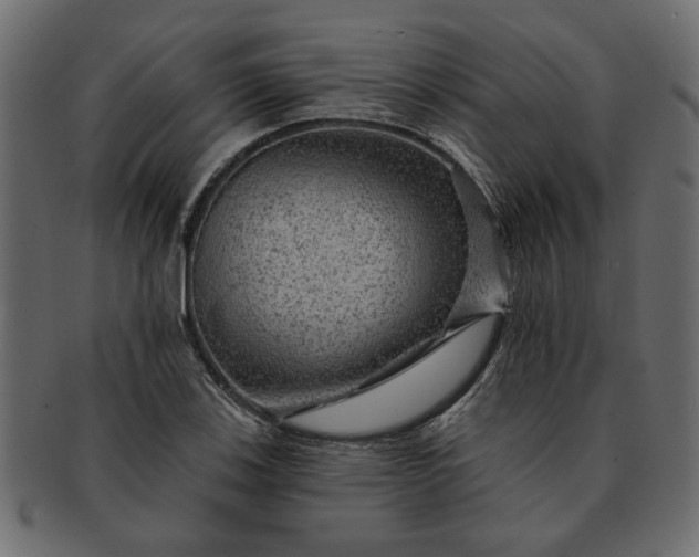 X0000091721123200709071430