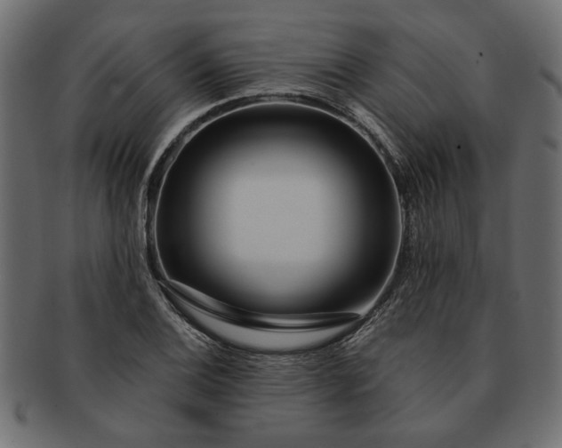 X0000091721124200709071430