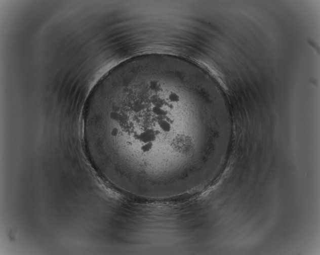 X0000091721125200709071430