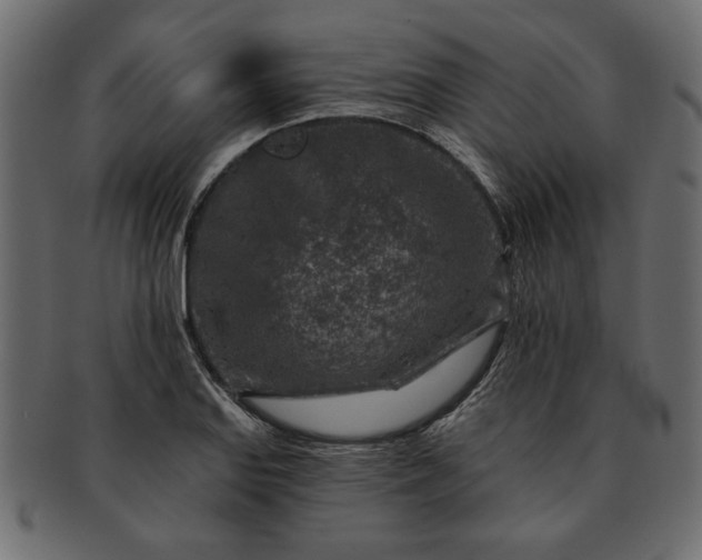 X0000091721127200709071430