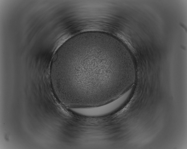 X0000091721129200709071430