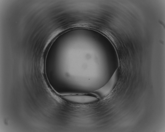 X0000091721131200709071430