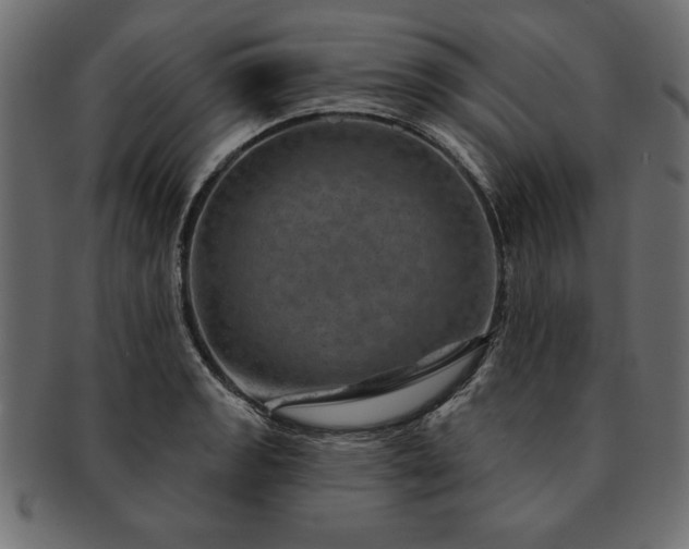 X0000091721133200709071430