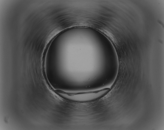 X0000091721135200709071430