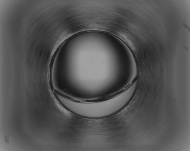 X0000091721136200709071430